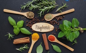 Nguồn polyphenol chống oxy hóa nên có trong chế độ ăn uống