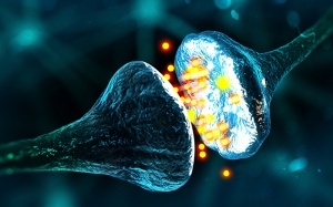 Người bệnh Parkinson nên thử 3 cách giúp tăng dopamine trong não