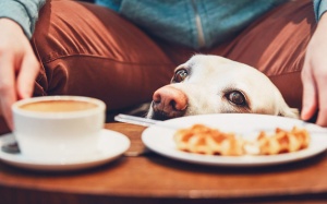 Tử vi thứ Sáu (15/7/2022): Kim Ngưu sẽ gặp phải nhiều cám dỗ