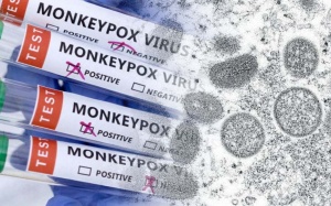 WHO tiếp tục xem xét tuyên bố tình trạng khẩn cấp với bệnh đậu mùa khỉ