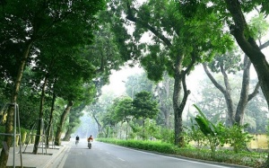 Dự báo thời tiết ngày 29/7: Bắc Bộ hạ nhiệt, vùng núi có mưa dông