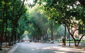 Dự báo thời tiết ngày 2/8: Bắc Bộ ngày nắng, chiều tối mưa dông