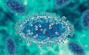 Liên tiếp nhiều nước ghi nhận các ca tử vong vì bệnh đậu mùa khỉ