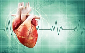 Rối loạn nhịp tim và những điều cần biết
