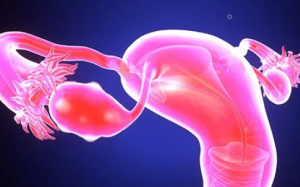 Dấu hiệu u nang buồng trứng và cách kiểm soát