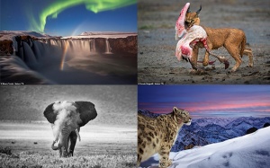 Ngắm thiên nhiên kỳ thú qua Giải thưởng Nhiếp ảnh Nature TTL 2022