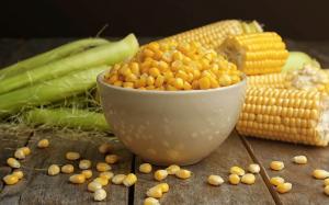Đây là lý do bạn nên ăn ngô để giảm cân?