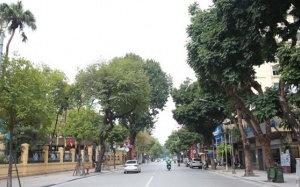 Bắc Bộ nắng nhẹ, Nam Bộ mưa dông chiều tối