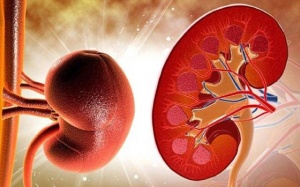 Suy thận mạn: Triệu chứng, chẩn đoán và giải pháp điều trị