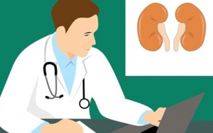 Chuyên gia chỉ ra những cách giúp thận luôn khỏe mạnh