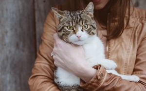 Tử vi thứ Tư (21/9/2022): Ma Kết tỏ ra khá khó tính trong ngày hôm nay