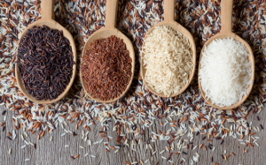 Những loại gạo nào nhiều chất và tốt cho sức khỏe?