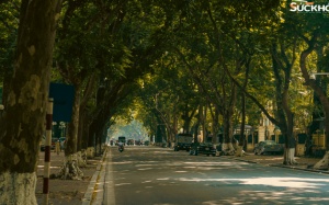 Có một mùa thu Hà Nội dịu dàng đến thế!