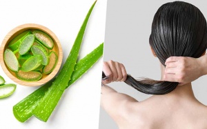 Dưỡng tóc tại nhà siêu dễ với nha đam
