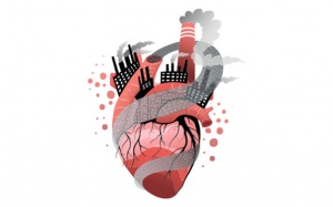 Ô nhiễm môi trường cũng có hại cho trái tim