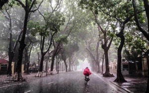 Cuối tuần, mưa xuất hiện ở nhiều khu vực trên cả nước