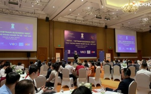 Thúc đẩy giao thương hợp tác Doanh nghiệp Ấn Độ - Việt Nam 