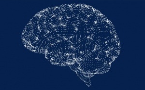 Nghiên cứu mới: Béo phì có liên quan tới yếu tố thần kinh?