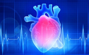 Hở van 2 lá, rối loạn nhịp tim nên điều trị thế nào?