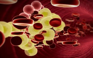 Kiểm soát máu nhiễm mỡ tại nhà