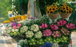 Bảo vệ sức khỏe trong thời tiết hanh khô