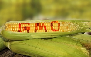 Thực phẩm biến đổi gene: Lợi hay hại?