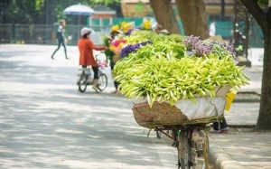 Bắc Bộ tăng nhiệt, Nam Bộ mưa về chiều kết hợp triều cường
