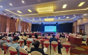 Thúc đẩy tiềm năng trồng dược liệu quý vùng đồng bào dân tộc thiểu số và miền núi