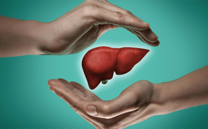 Những việc nên làm để bảo vệ lá gan