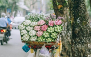 Bắc Bộ sắp đón không khí lạnh, Nam Bộ mưa dông