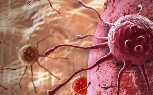 Cách tế bào ung thư trốn tránh cơ chế miễn dịch