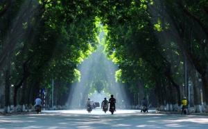 Nhiều khu vực nắng trong ngày, Nam Bộ mưa rào chiều tối