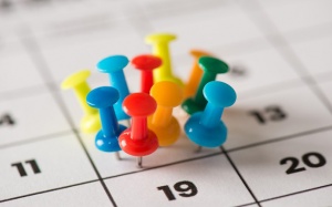 Tử vi thứ Bảy (19/11/2022): Bọ Cạp sẽ có một ngày bận rộn