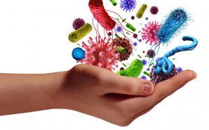 7 loại vi khuẩn gây hại có trong thực phẩm và cách phòng tránh