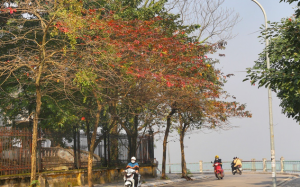 Cả nước ngày nắng xen mưa vài nơi, ven biển Nam Bộ có triều cương cao