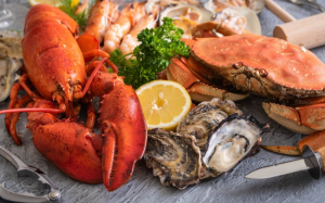 Dấu hiệu trẻ dị ứng động vật có vỏ