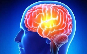 Những phương pháp giúp thực sự cải thiện trí nhớ 