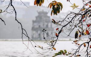 Thời tiết 9/12: Bắc Bộ lạnh hơn, Quảng Ngãi - Khánh Hòa mưa rào và dông