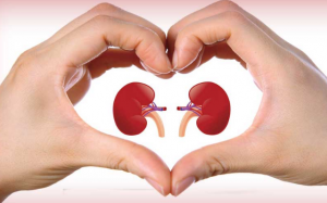 6 cách chăm sóc thận trong mùa Đông