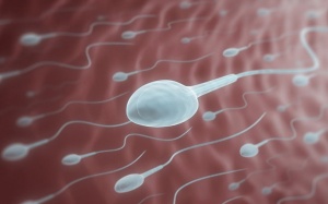 Cách giúp nam giới tăng số lượng tinh trùng hiệu quả