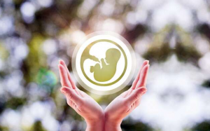 Thiếu sắt tăng nguy cơ vô sinh