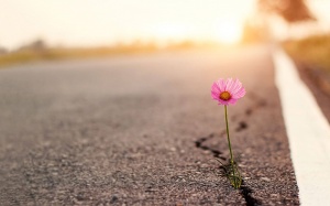 Tử vi thứ Năm (15/12/2022): Ma Kết không nên đánh mất hy vọng của mình