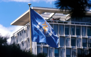 WHO sắp có Nhà khoa học trưởng và Giám đốc Điều dưỡng mới