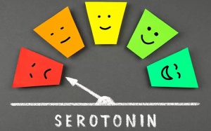 Biện pháp tăng nồng độ serotonin để cải thiện tâm trạng