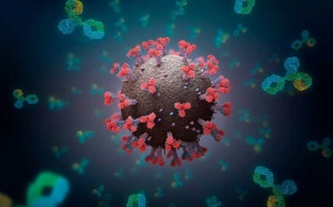 Tế bào miễn dịch T vẫn ngăn ngừa hiệu quả các biến thể phụ Omicron