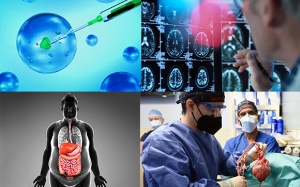 Những thành tựu y học quốc tế nổi bật nhất trong năm 2022