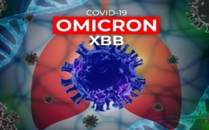 TP.HCM ghi nhận sự xuất hiện biến thế phụ XBB của Omicron  