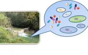 Dư lượng kháng sinh trong nước: Mối đe dọa với sức khỏe