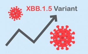 WHO cảnh báo biến thể XBB, XBB.1.5 sẽ dần chiếm ưu thế
