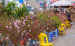 Những khu chợ mang Tết đến thật gần